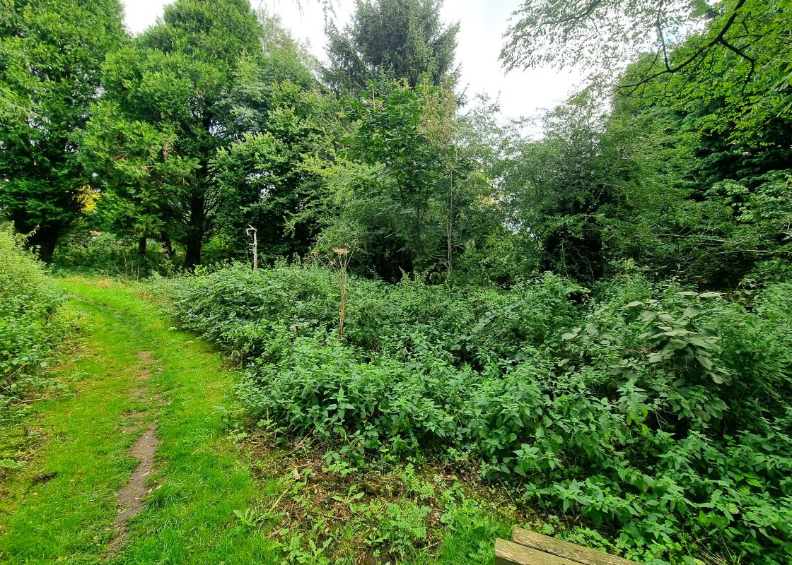 Marlborough Road, Swindon, SN3 1NP