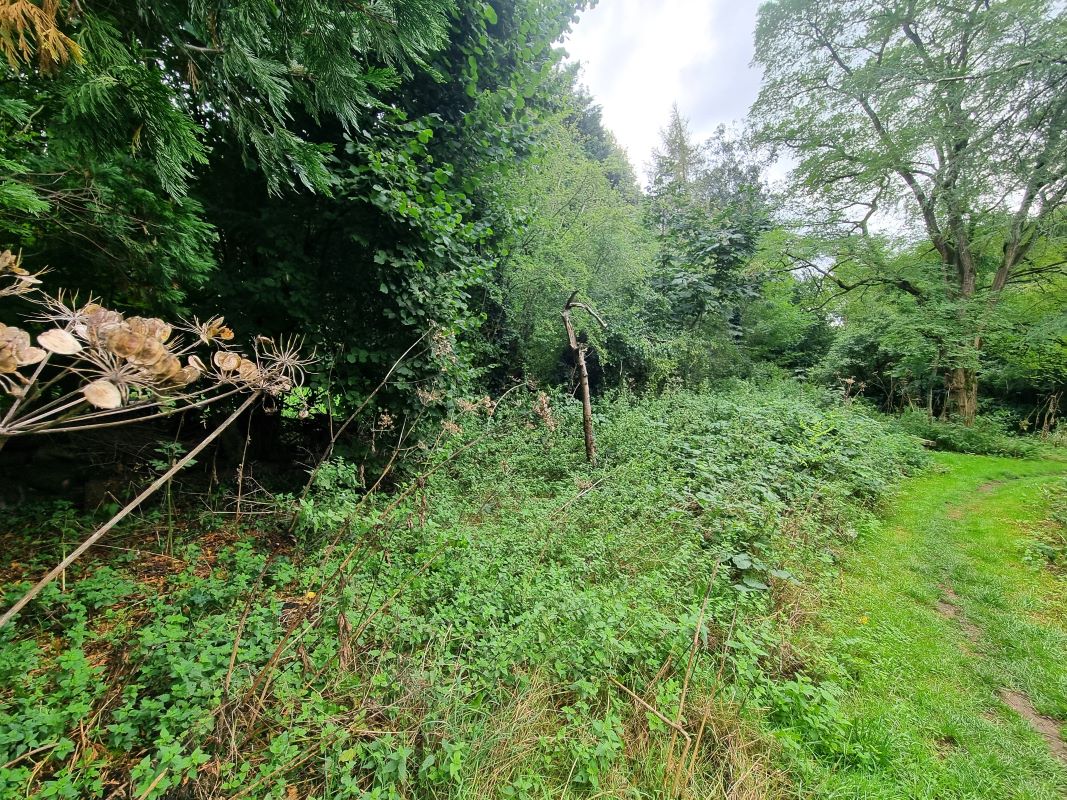 studio property for sale