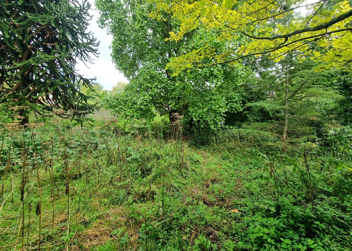 studio property for sale