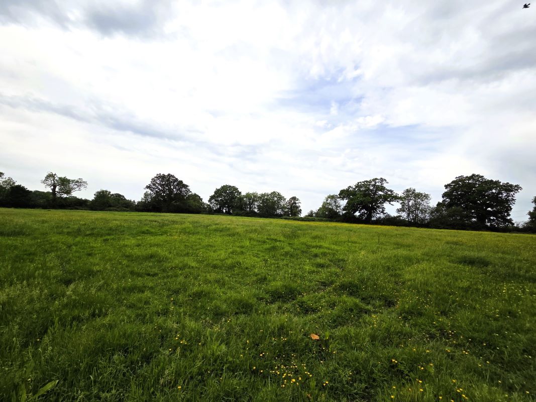 East Woodlands Road, Frome, East Woodlands, BA11 5LY