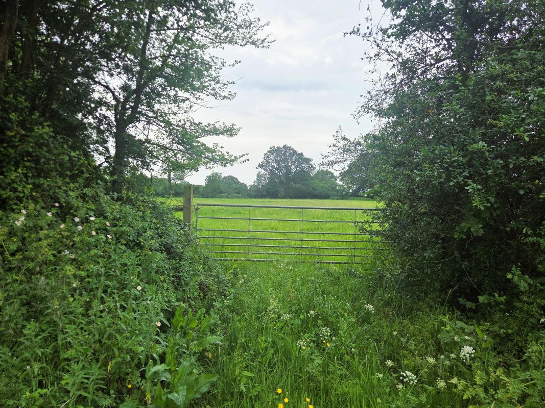 East Woodlands Road, Frome, East Woodlands, BA11 5LY