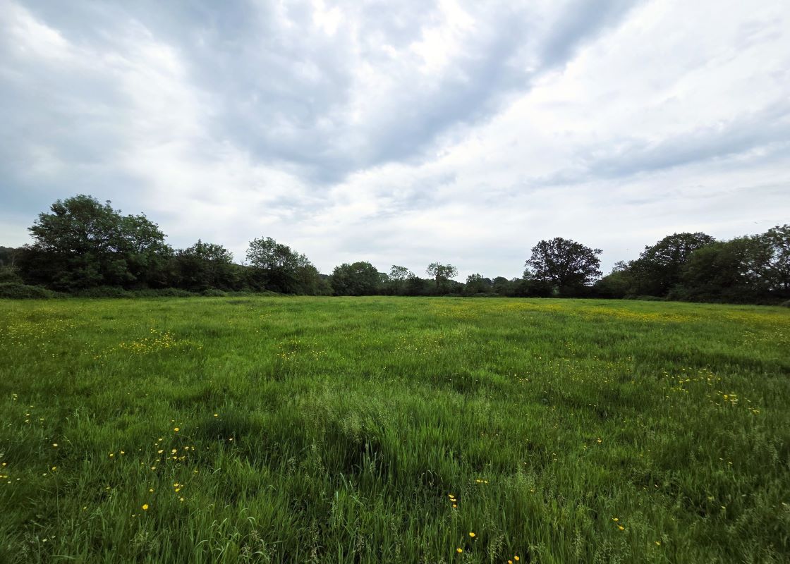 East Woodlands Road, Frome, East Woodlands, BA11 5LY