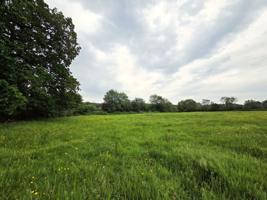 East Woodlands Road, Frome, East Woodlands, BA11 5LY